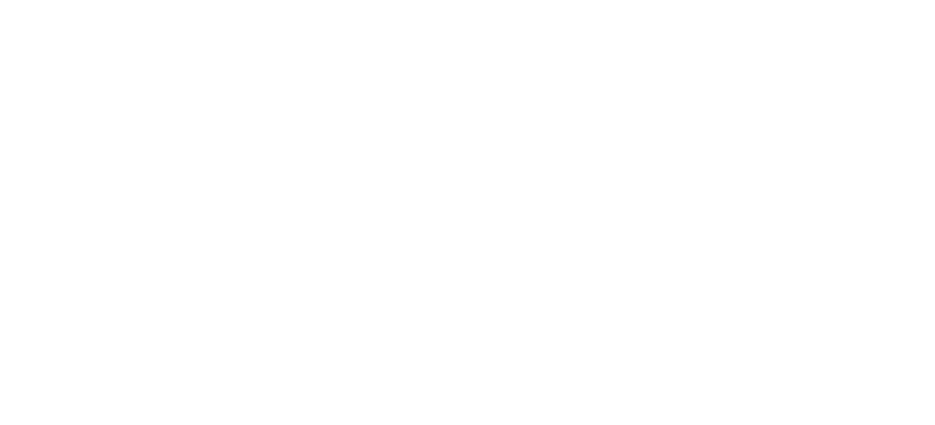 Universidad Participante 1