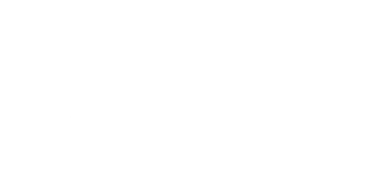 Universidad Participante 4