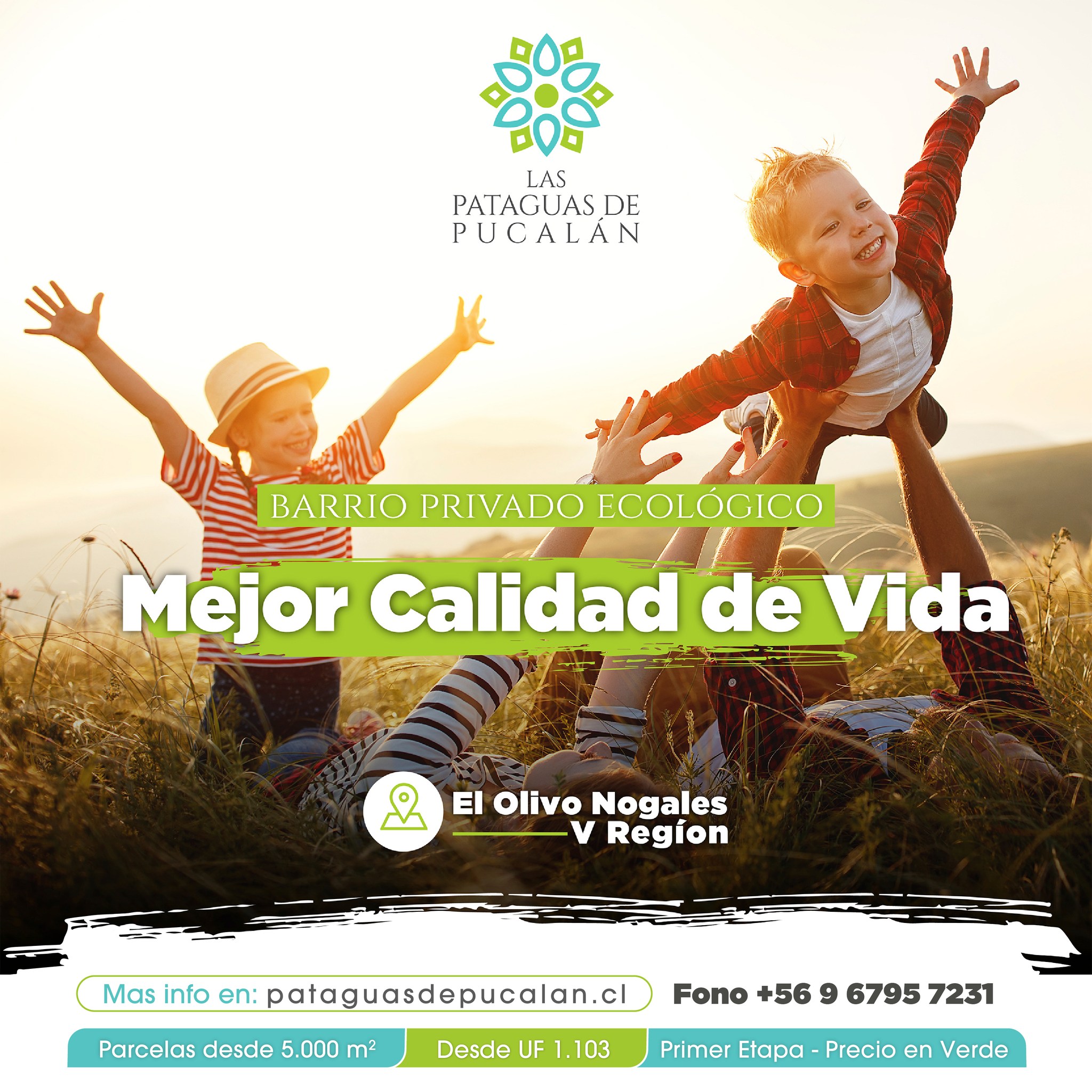 Diseño Redes Sociales 2