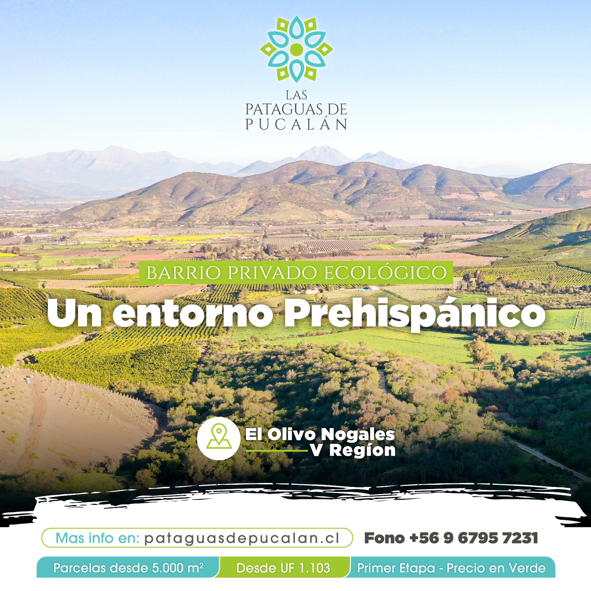 Diseño Redes Sociales 3