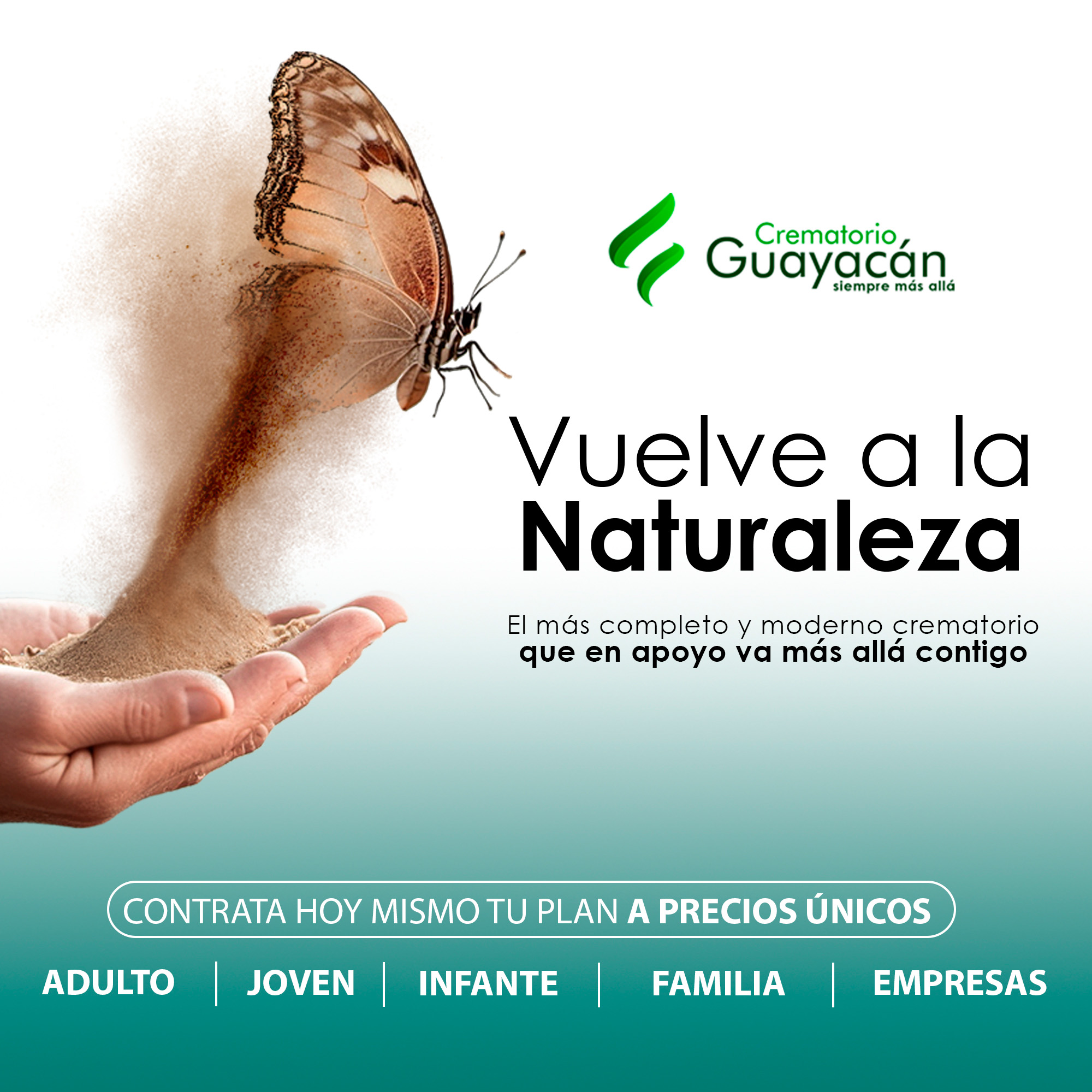 Gráfica Redes Sociales Guayacán 1