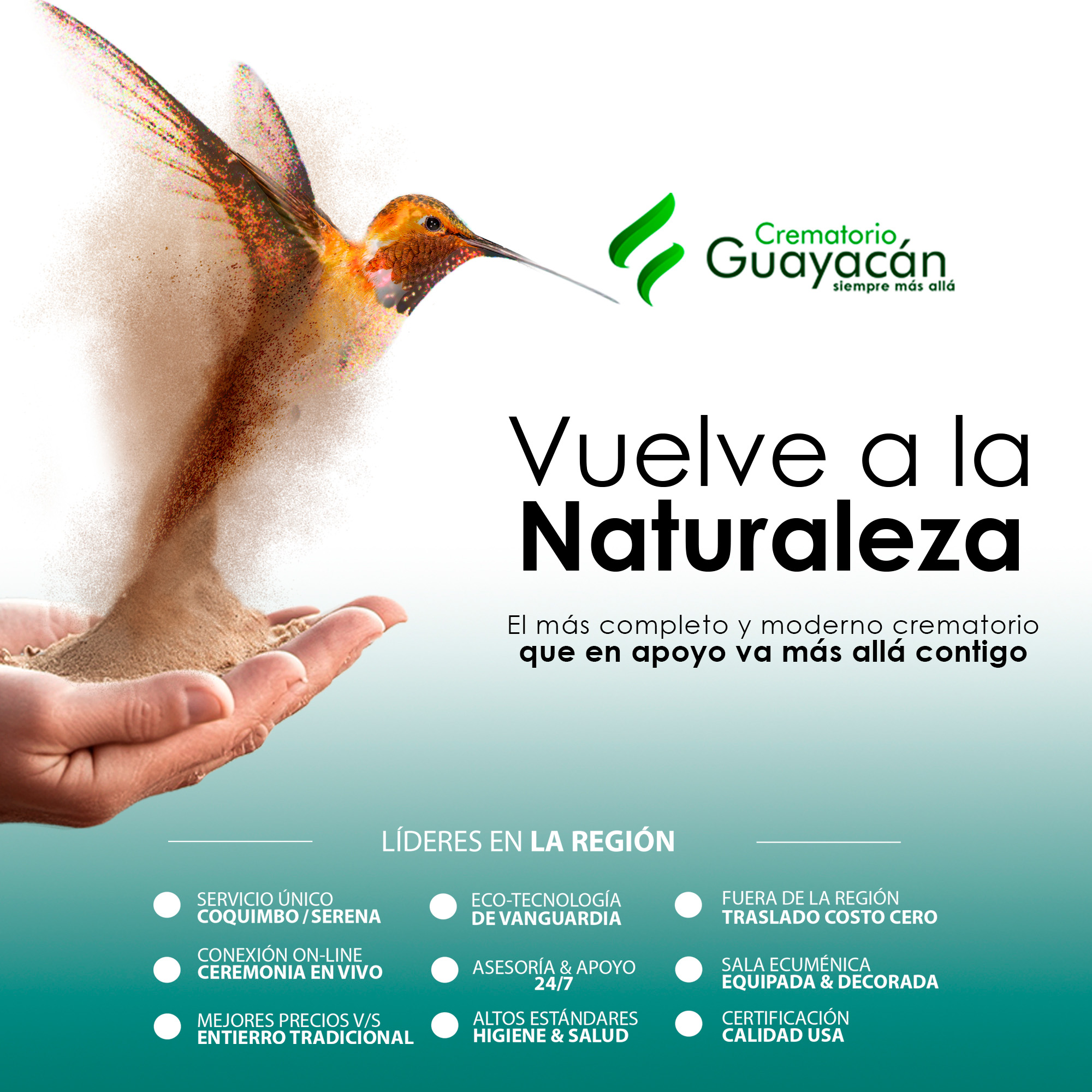 Gráfica Redes Sociales Guayacán 2