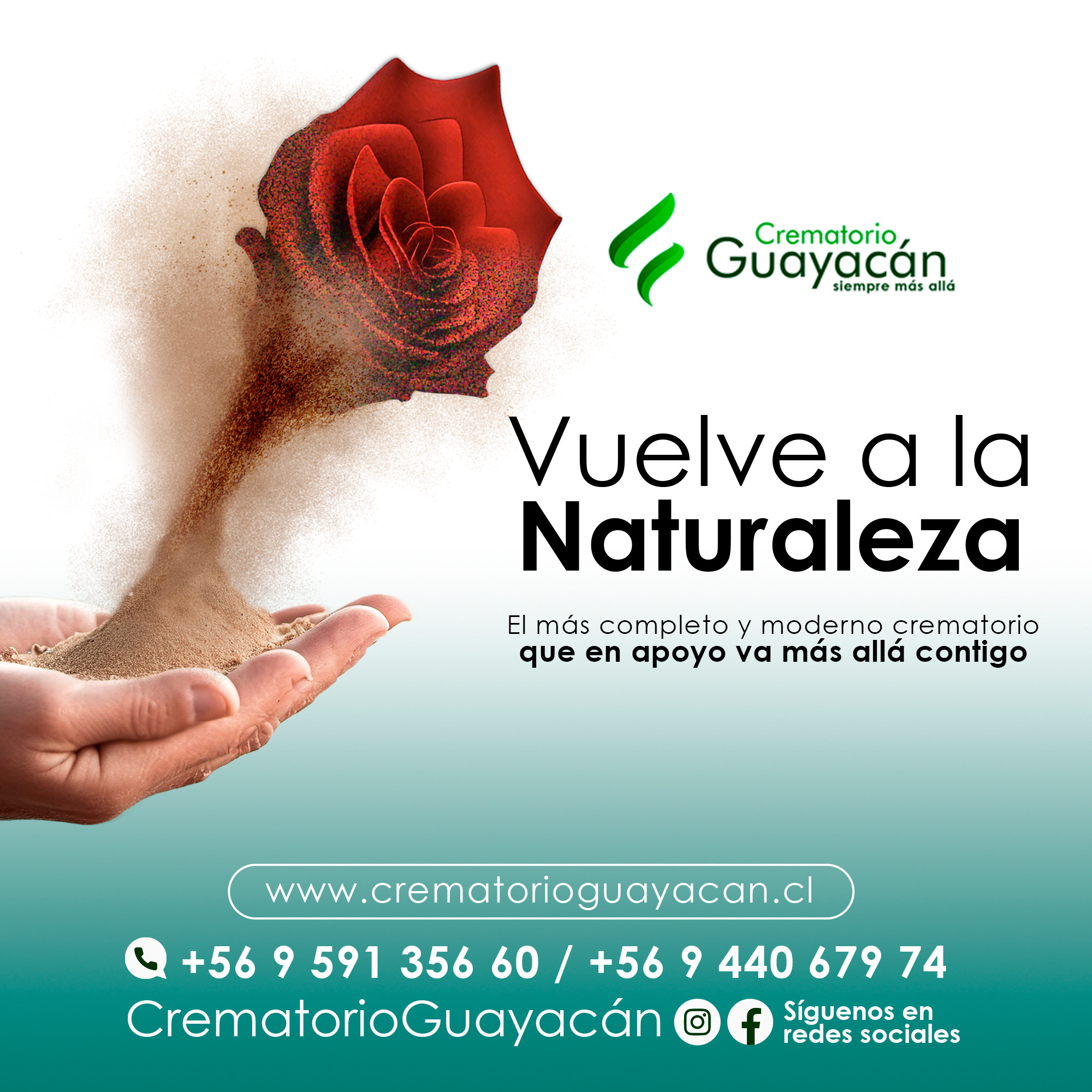 Gráfica Redes Sociales Guayacán 3