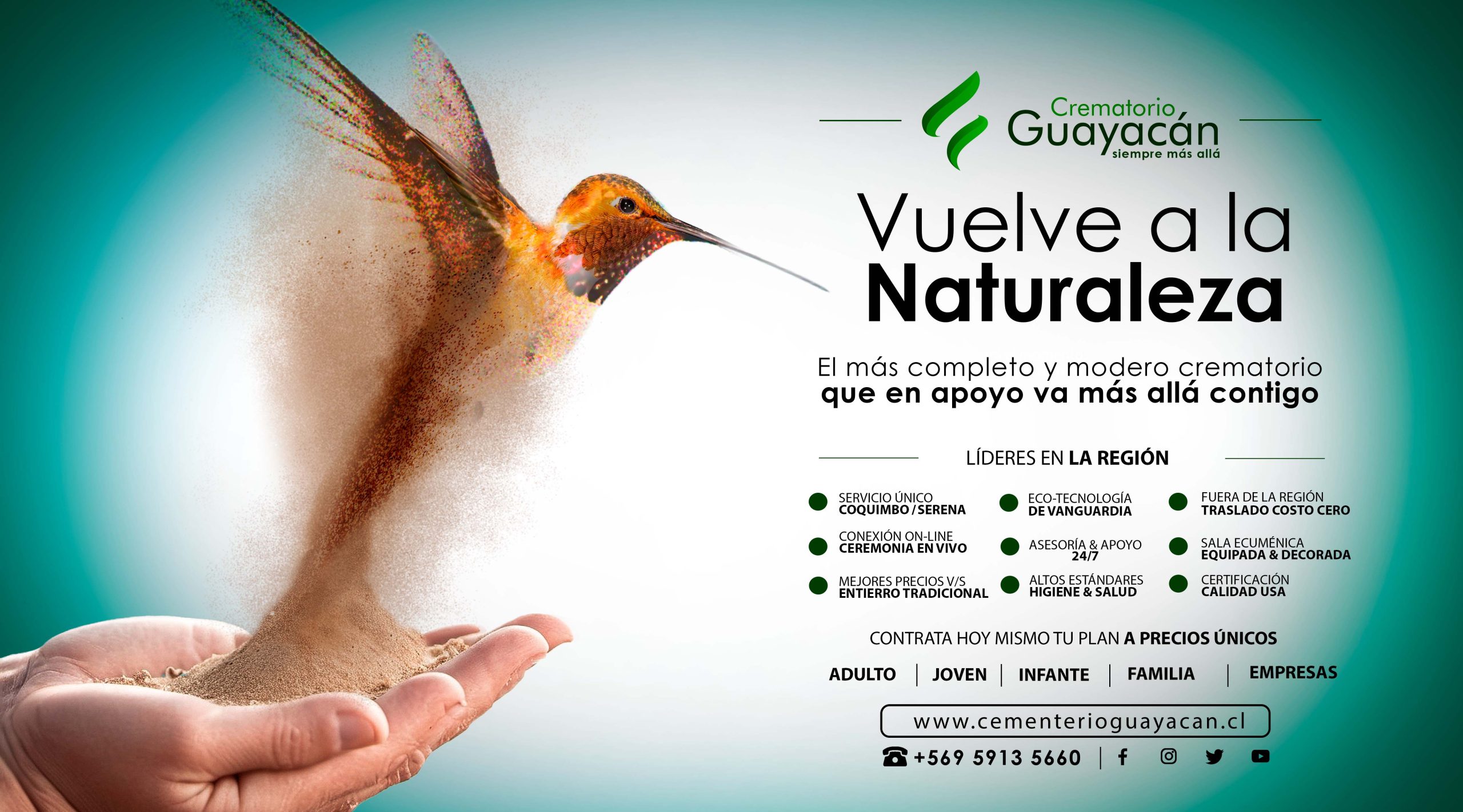 Guayacán Vuelve a la Naturaleza - Gráfica 1
